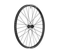 Dt Swiss Exc 1500 Classic 29´´ 22 isc Tubeless Mtb Front Wheel Argenté 15 x 110 mm