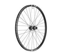 Dt Swiss F 1900 Classic 29´´ Disc 6b Tubeless Mtb Rear Wheel Argenté 12 x 148 mm / Shimano/Sram HG
