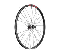 Dt Swiss Fr 1500 Classic 30 29´´ Disc Tubeless Mtb Rear Wheel Argenté 12 x 148 mm / Shimano/Sram HG Black
