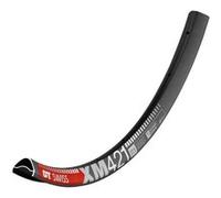 Dt swiss Roues Dt Swiss Rim Xm 421 29 Inches G