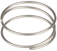 DT Swiss Spring de Remplacement f. Ratchet Exp Hub Mixte, Noir, Taille Unique