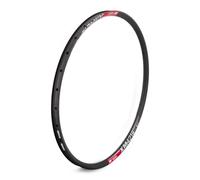 DT Swiss XM 421 SBWT disc-specific 32 hole Presta-drilled black - 29"