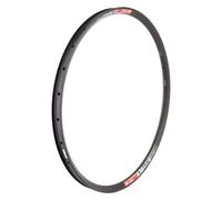 Dt Swiss Xm 481 29´´ 30 Mm Std Vi Disc Tubeless Mtb Rim Argenté 29´´ 28H Black