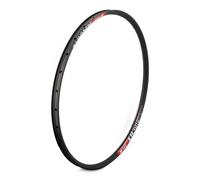 Dt Swiss Xr 391 Disc Rim Noir 29´´ 32H Black