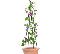 Dtaigou Treillis de jardin pour plantes grimpantes | Treillis à pois - Hauteur réglable en métal pour tête d'oiseau - Accessoires pour jardin, jardin, cour, fleur, raisin, pois, concombre