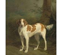 DTAUPREB Peinture à l'huile DIY pour adultes Débutants Chien de chasse Peinture par numéro avec pinceaux et pigment acrylique sur toile Jacques-Laurent Agasse