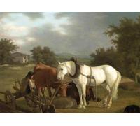 DTAUPREB Peinture à l'huile DIY pour adultes enfants Un laboureur et un cheval Peinture par numéro avec pinceaux et pigment acrylique sur toile Jacques-Laurent Agasse