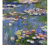 DTAUPREB Peinture par numéros Kits pour adultes Claude Monet Nénuphars Kits de peinture à l'huile de bricolage Nymphéas Peinture par numéro Dessin sur toile Art Décoration d'intérieur Cadeaux