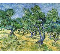 DTAUPREB Peinture par numéros pour adultes Kits de peinture à l'huile de bricolage Oliviers Vincent Van Gogh Peinture par numéro Dessin sur toile Art Décor Cadeaux