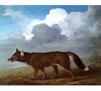 DTAUPREB Portrait d'un grand chien Kit de peinture par numéros à faire soi-même pour adultes et enfants Peinture à l'huile Cadeau artistique