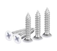 DTGN 10Pcs Vis À Tête Plate ST4x20mm, Vis Auto-Taraudeuses Phillips En Acier Inoxydable 304 Blanc - Idéales Pour Le Travail Du Bois, Meubles - Argenté