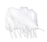 Dtoterul Plume Blanche 100 Pièce Plume Artificielle Plumes d'oie Blanche Blanc Plume Décoration Décorations de Fête du Parti du Mariage pour Le Sacs Décoration de Boucles d'oreilles