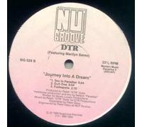 DTR FEAT MARILYN SAREO / JOURNEY INTO A DREAM