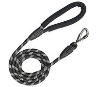 DTSFHTDAL Laisse imperméable pour chien avec crochet de verrouillage - 1,5 m - Mousqueton - Robuste - En nylon - Éclairage nocturne - Pour chiens de petite, moyenne et grande taille (longue)