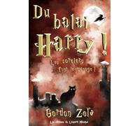 Du balai, Harry !: Les sorciers font le ménage !
