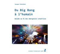 Du Big Bang à l’humain: Balade au fil des émergences créatrices