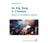 Du Big Bang à l’humain Balade au fil des émergences créatrices - Jacques Pantaloni - Publication Universite Provence - broché - Essai