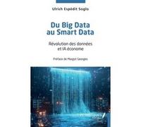 Du Big Data au Smart Data Georges Margot (Préface), Ulrich Espédit Soglo (Auteur)