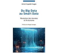 Du Big Data Au Smart Data - Révolution Des Données Et Ia Économe