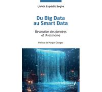 Du Big Data au Smart Data Révolution des données et IA économe - Georges Margot - Les Impliqués - broché - Essai