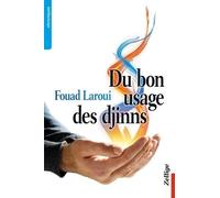 Du Bon Usage Des Djinns