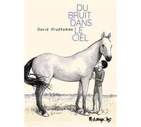 David Prudhomme – Du bruit dans le ciel – Futuropolis