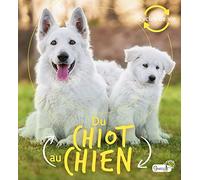 Du chiot au chien