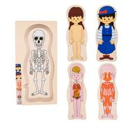 du corps humain - En bois du corps humain, anatomie interactive | Puzzle éducatif de parties du corps pour garçons et filles de 4 à 6 ans, jouet