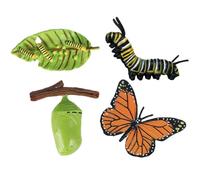 du cycle de vie des insectes - 6 unités figurines d'animaux, modèles de sciences éducatives, outils d'apprentissage de la nature, sculptures d'insectes réalistes |