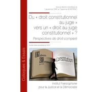 Du « droit constitutionnel au juge » vers un « droit au juge constitutionnel » ?: Perspectives de droit comparé (Tome 108)