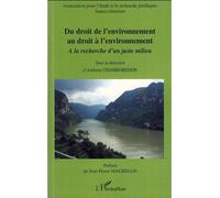Du droit de l'environnement au droit à l'environnement (France-Chine) - Anthony Chamboredon - L'harmattan - broché - Livre