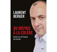Du mépris à la colère: Essai sur la France au travail