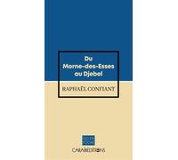 Du Morne-des-Esses au Djebel - Raphaël Confiant - Caraibeditions - Poche - Roman