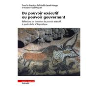 Du pouvoir exécutif au pouvoir gouvernant Réflexions sur la notion de pouvoir exécutif à partir de la Ve République - Priscilla Monge - Mare & Martin - broché - Etude