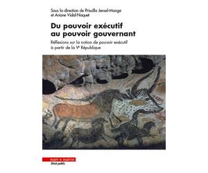 Du pouvoir exécutif au pouvoir gouvernant Réflexions sur la notion de pouvoir exécutif à partir de la Ve République - Priscilla Monge - Mare & Martin - broché - Etude