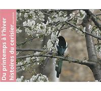 Du printemps à l'hiver. Histoires du cerisier · Imagier photos tout carton pour bébé - livre sans texte · Dès la naissance