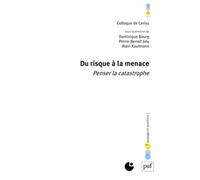 Du risque à la menace: Penser la catastrophe