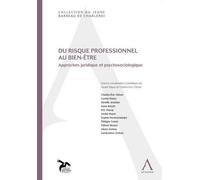 Du risque professionnel au bien-être Approches juridique et psychosociologique - nayer a. Clesse c.-e. - Anthemis - broché - Manuel