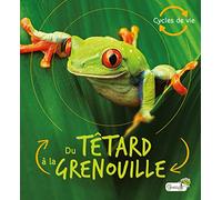 Du têtard à la grenouille