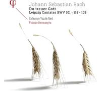 Du Treuer Got/Leipzig Cantatas Bwv 101 103 115