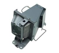 DUAEANXI Lampe de projecteur FU195A BL-FU195A for projecteurs Opto-ma HD142X, HD27, S341, X341EH331, HD137X, HD140X, HD270 et HD422X(BL-FU195A-CBH)