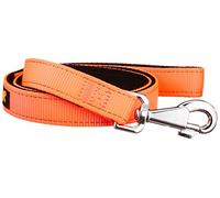 DUAL G25/110 COLOURS Laisse chien 25 mm x L 110 cm Orange