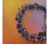 Dual Jewel Case Album (Dawn Version)