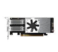 Dual-port QSFP28 100GbE network expansio