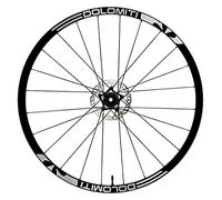 DualColorStampe Autocollants pour jantes de vélo 26" - 27,5" - 28-29" Pouces Roue de vélo VTT Stickers Jantes VTT B0059 (27,5" Pouces, Argent)