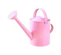 Dualoai Arrosoir 4 L avec Poignée, Anti-Fuite, Bec Amovible, Outil de Jardinage, Antirouille, pour Plantes D'intérieur et D'extérieur, Maison, Rose