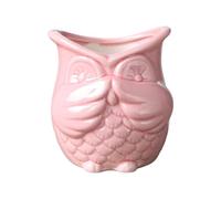 Dualoai Pot de Fleurs en Forme de Hibou, Mini Pot en Céramique Décoratif pour La Maison Ou Le Jardin, Idéal pour Une étagère, Une Terrasse Ou Un Bureau, Pas d'odeur Rose