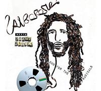 Alborosie meets Roots Radics Dub for the Radicals (Vinyl) 12" Album