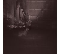 Dub Taylor - Caves & Cages [Import]