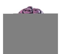 Dubbulon Flûte À Crier | Décoration Tête De Squelette pour Halloween | Outil D'Avertissement Et Farce Effrayant Motif Cerveau pour Aventure Extérieure Randonnée Nuit Maison Hantée